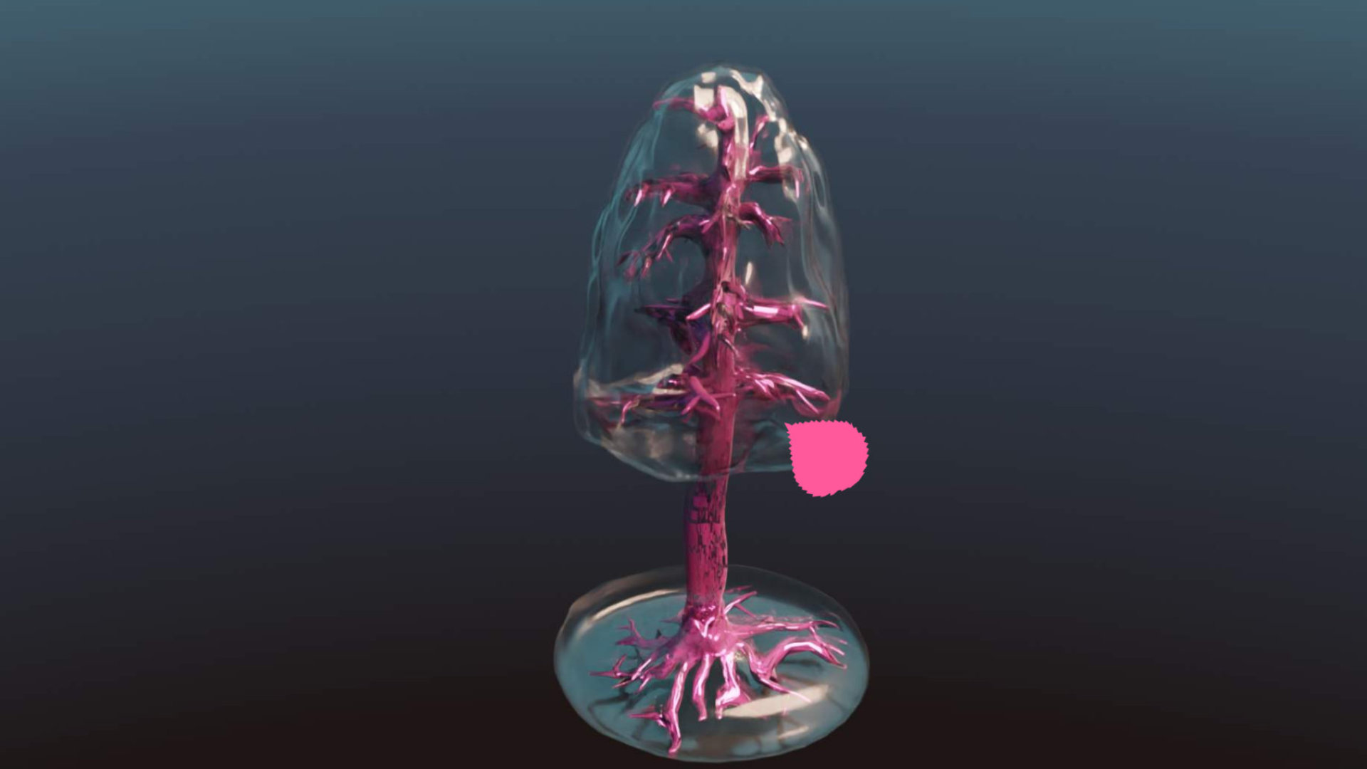Stranger to the trees